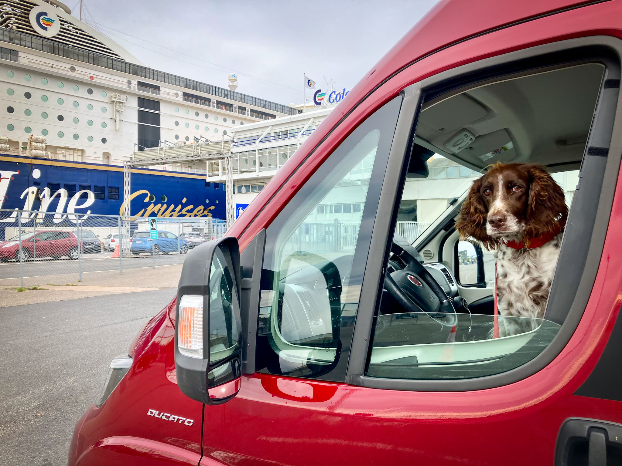 Bildet viser en brun og hvit hund som sitter i førersetet på en rød campervan